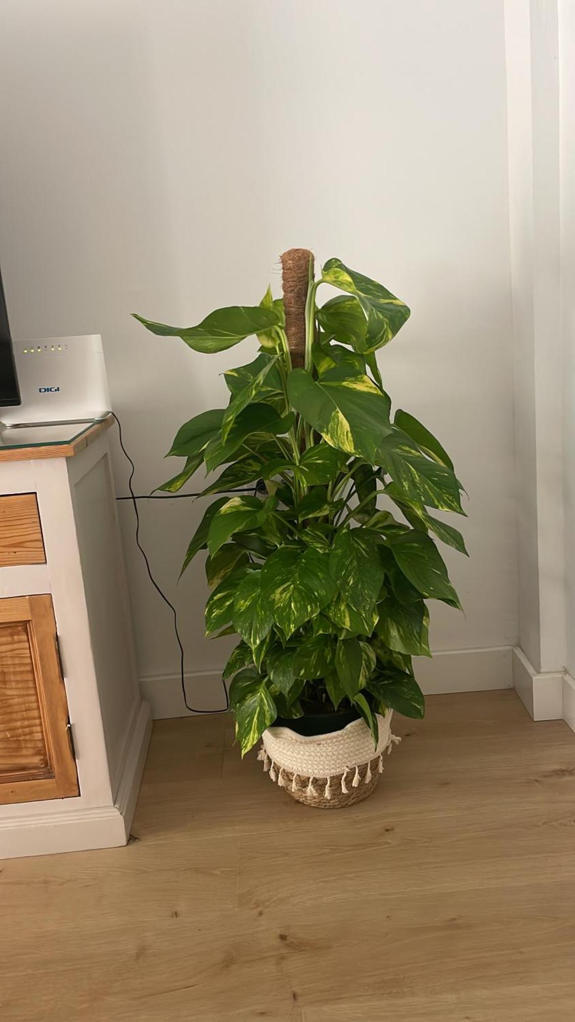 Exclusivo Apartamento Cerca De La Playa Málaga Exterior foto